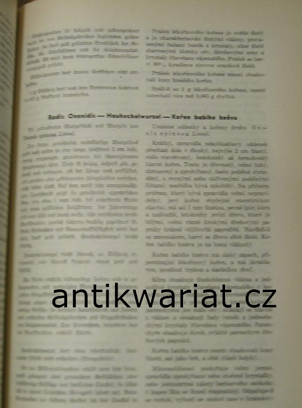 1wa Image00060