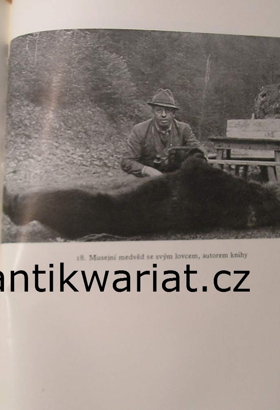 1wa Image00204