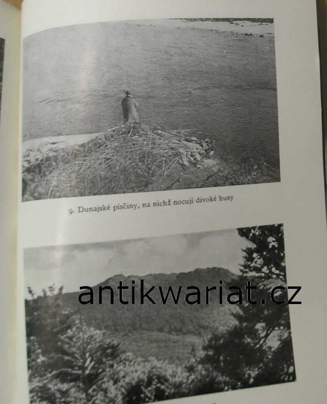 1wa Image00210