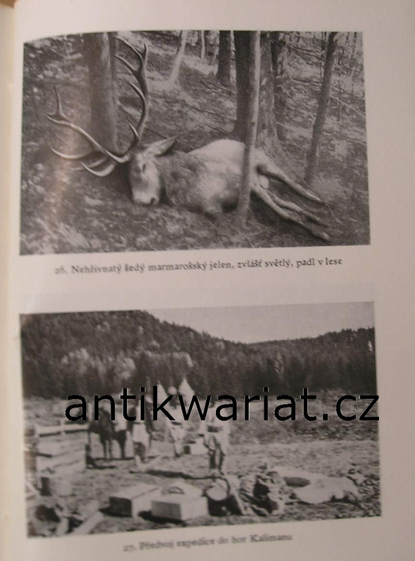 1wa Image00198