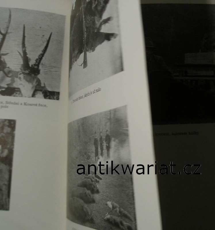 1wa Image00208