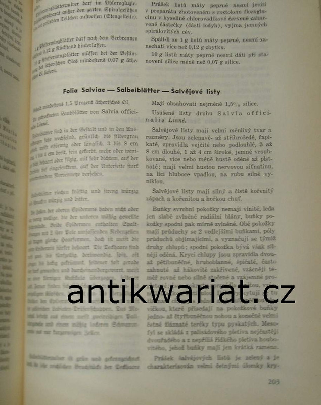 1wa Image00066