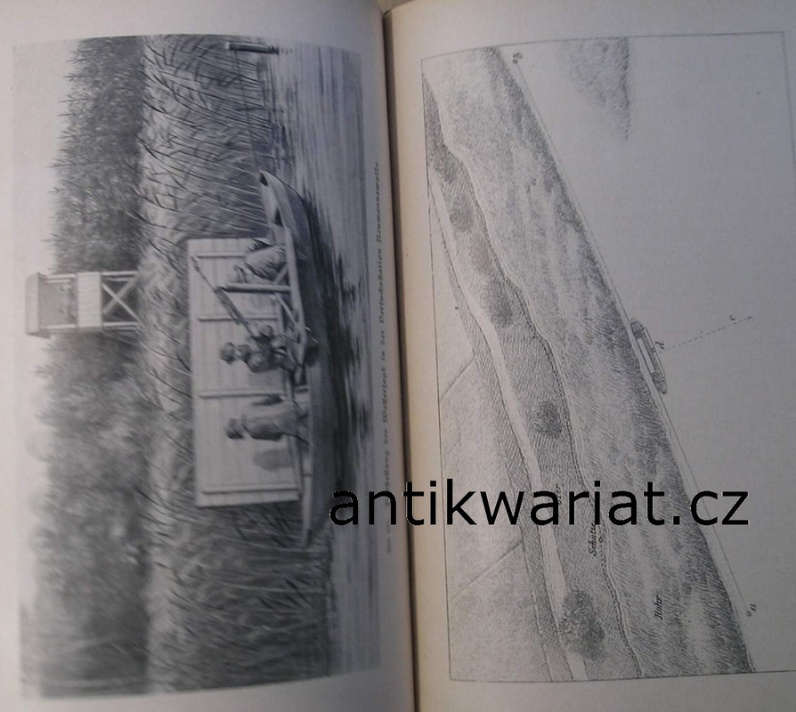 1wa Image00043