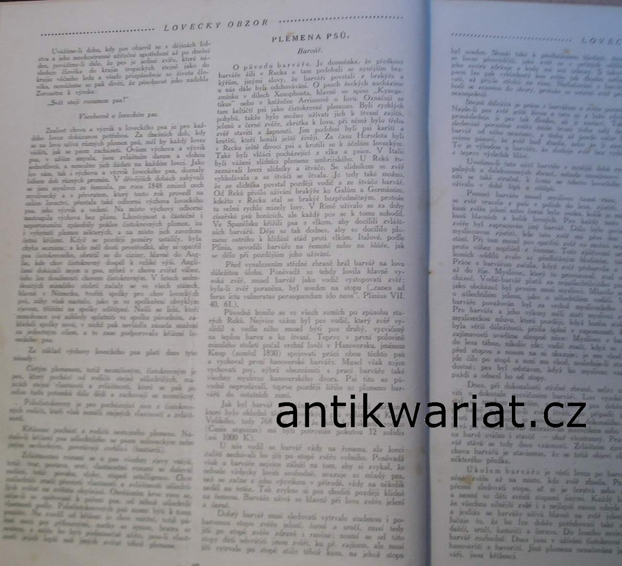1wa Image00222