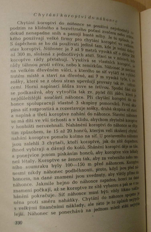 1 WECKO 167