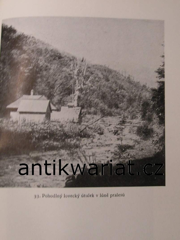 1wa Image00195