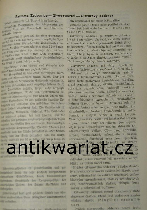 1wa Image00059
