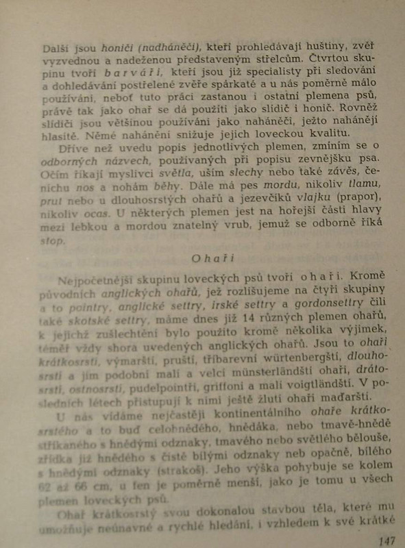 1 WECKO 196