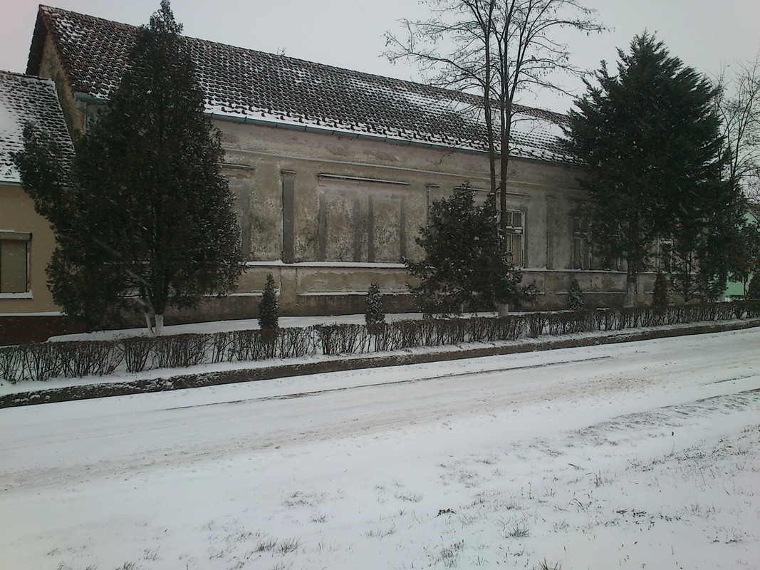 Slika