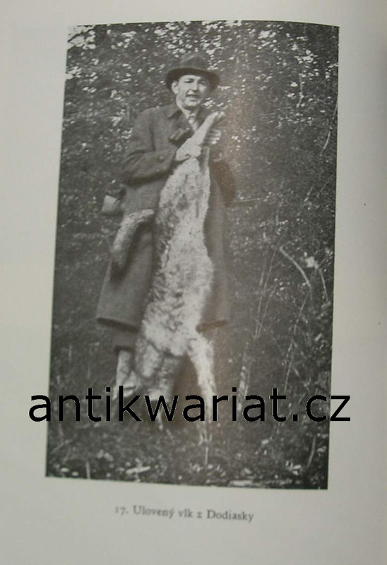 1wa Image00205