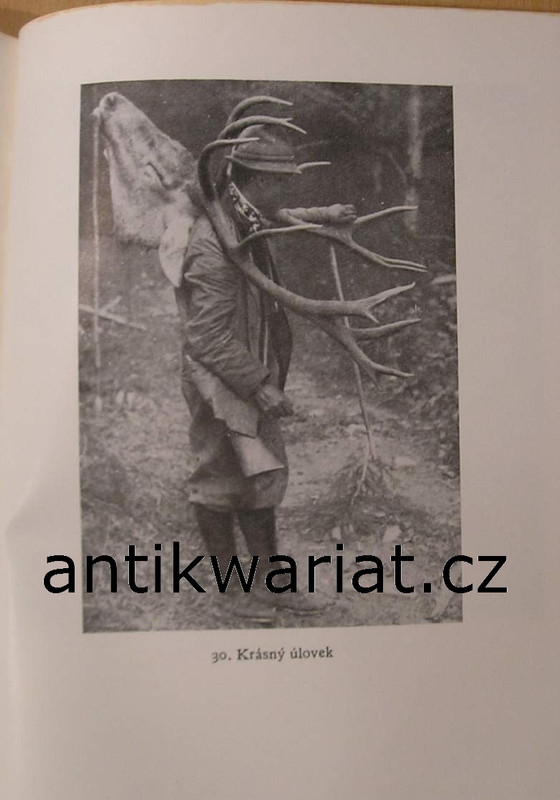 1wa Image00196