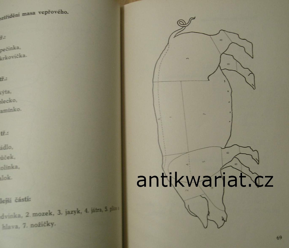 1wa Image00126