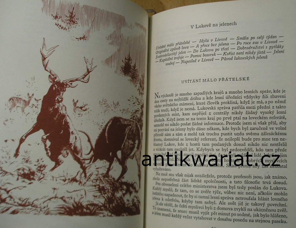 1wa Image00224