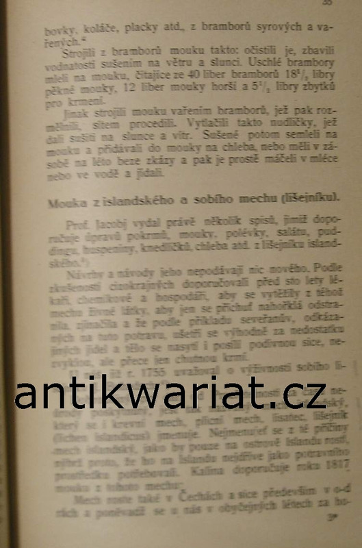 1wa Image00214