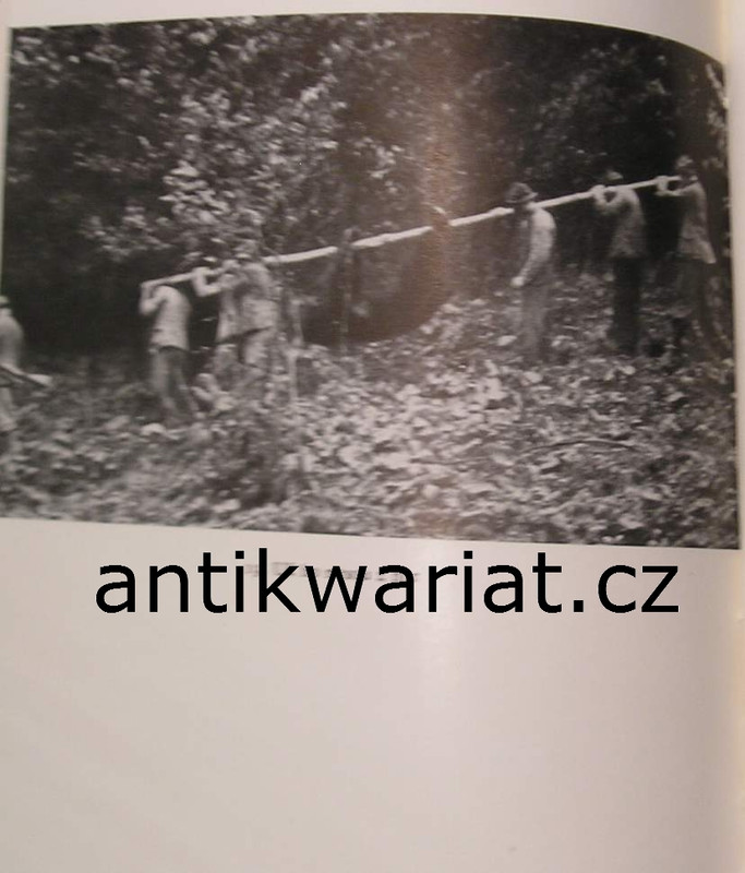 1wa Image00203