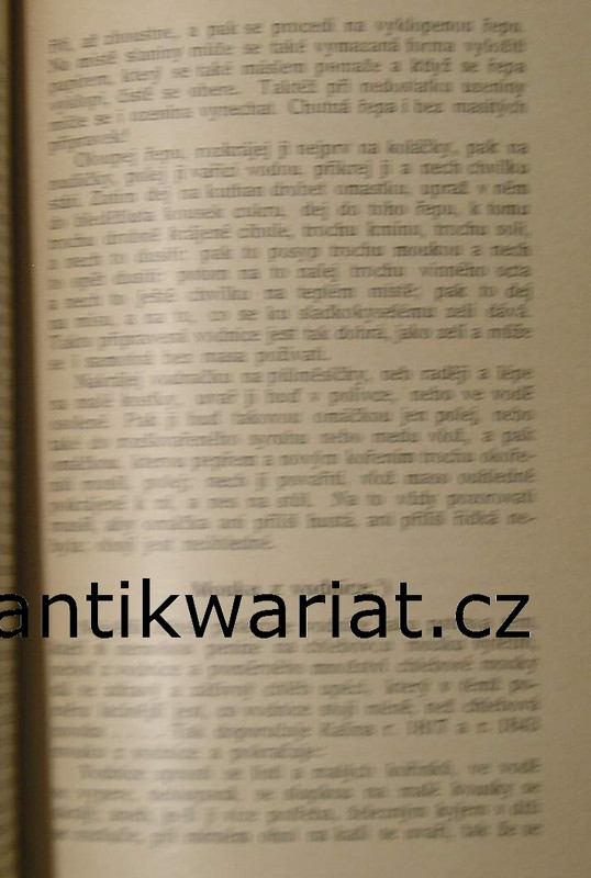1wa Image00217
