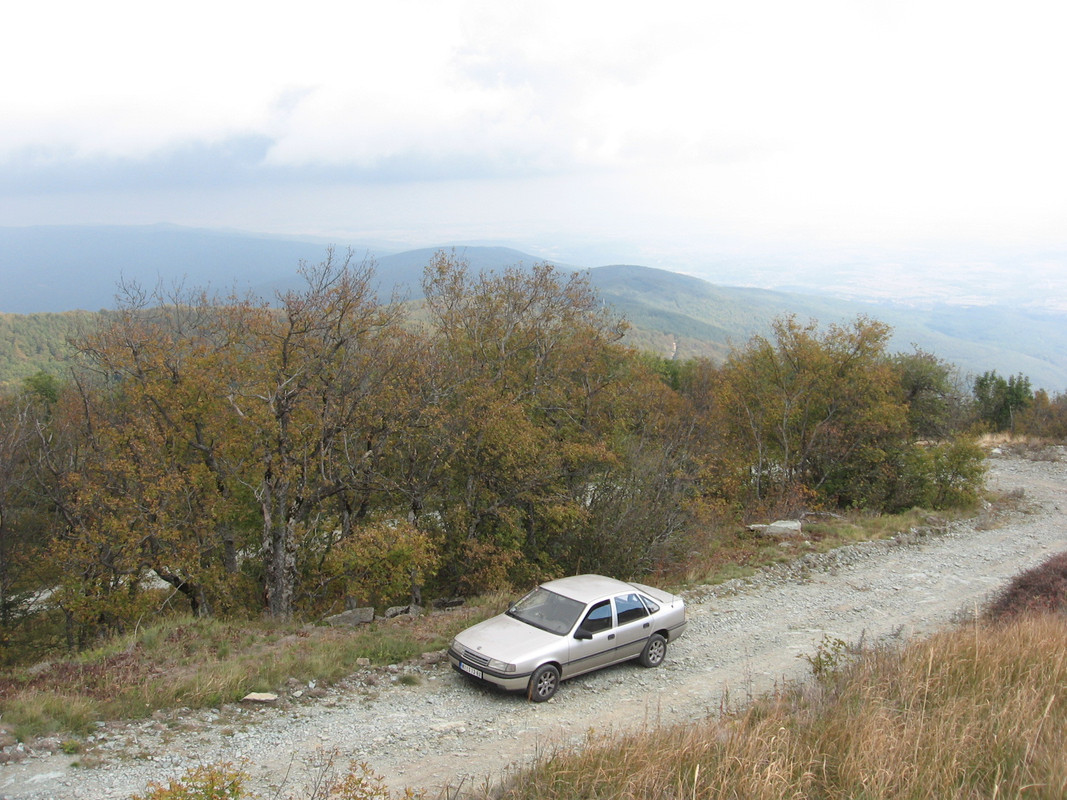 Slika