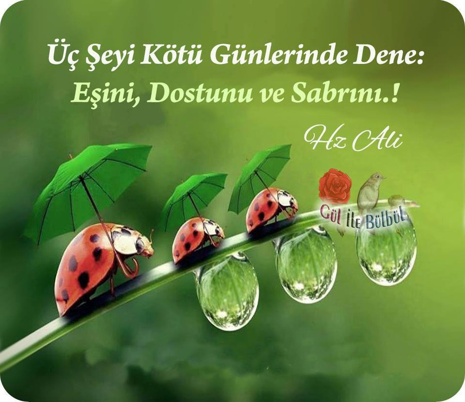 Dini sözler resimli face Dini sözler resimli face