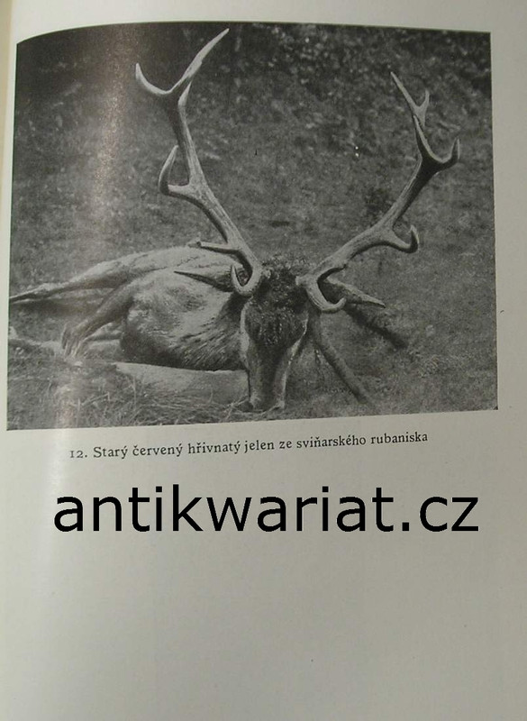 1wa Image00209