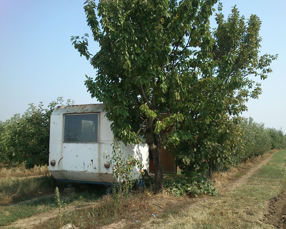 Slika