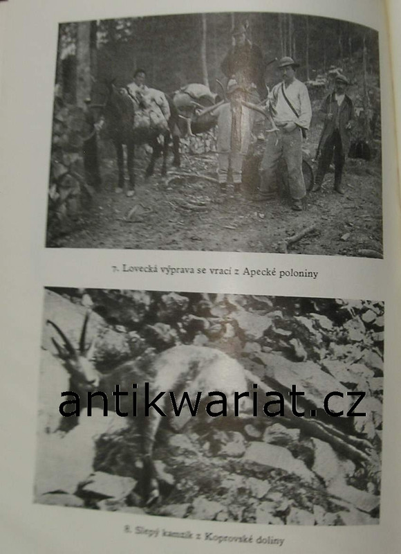 1wa Image00211