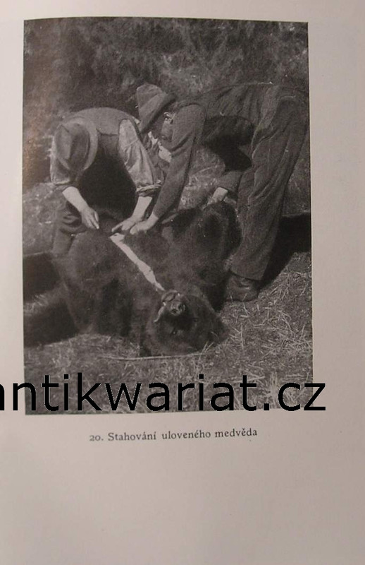 1wa Image00202
