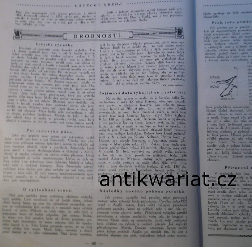1wa Image00213