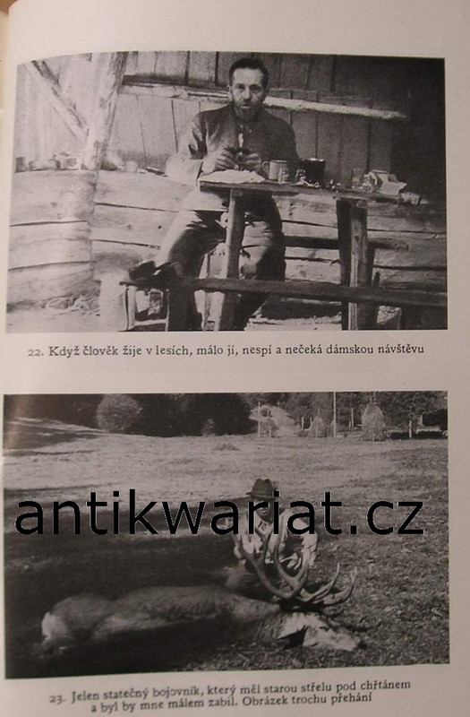 1wa Image00200