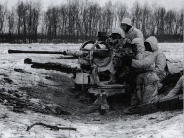 Flak 38 de 20 mm en el sector de Oranienbaum. Enero de 1944