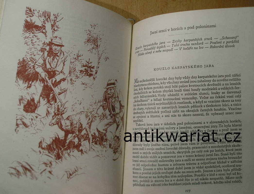 1wa Image00222