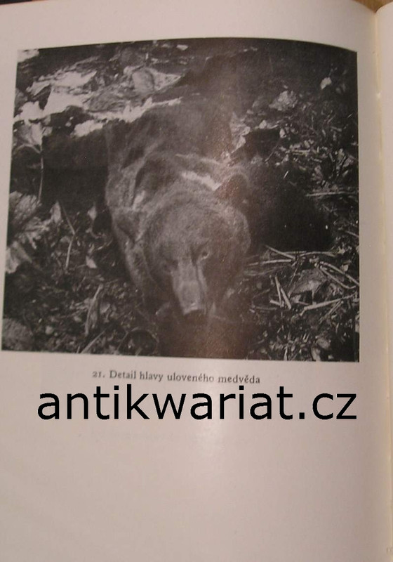 1wa Image00201