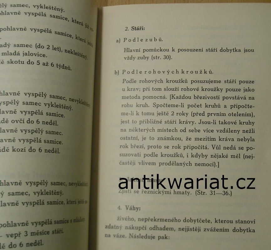 1wa Image00139