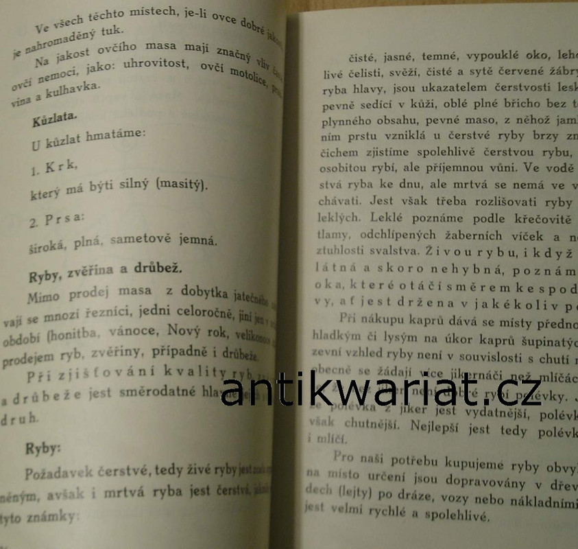 1wa Image00133