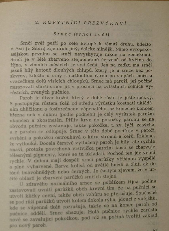 1 WECKO 193