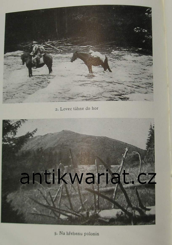 1wa Image00213