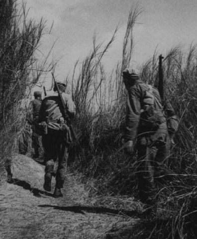 30 de enero de 1945. Los Rangers se aproximan ocultos entre las hierbas altas al campo de Cabanatuan