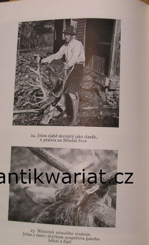 1wa Image00199