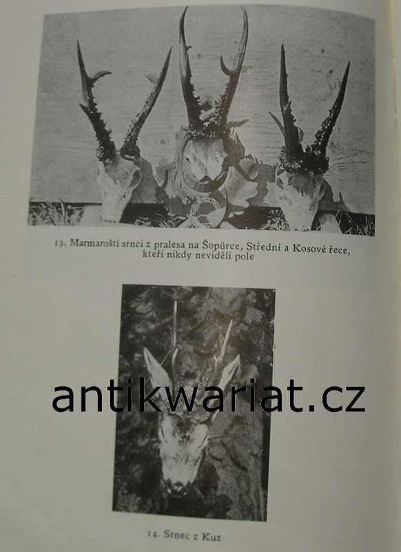 1wa Image00207