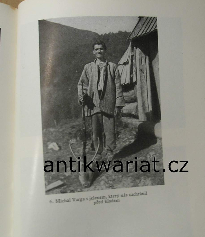 1wa Image00212