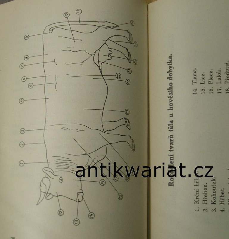 1wa Image00137