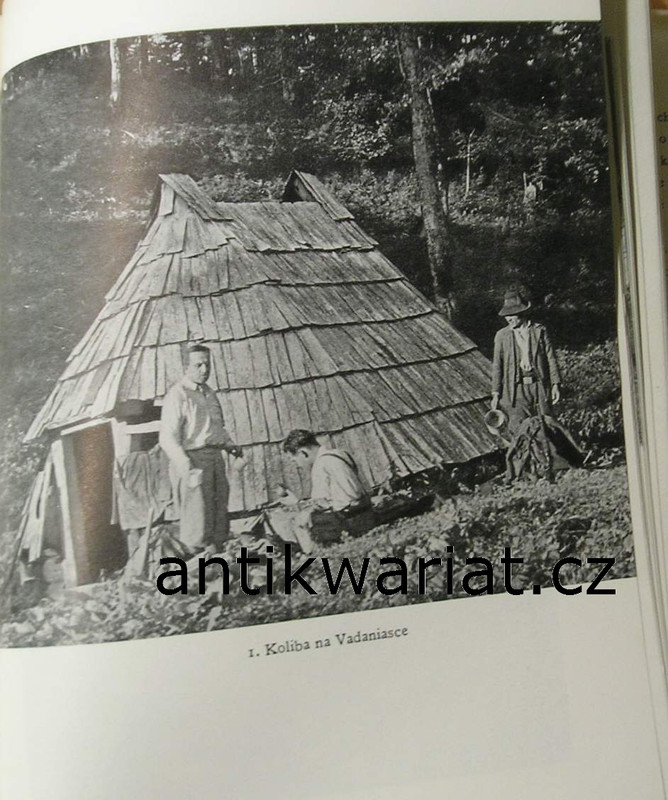 1wa Image00214