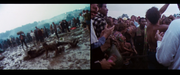 Woodstock - The director's cut (2014) HDRip 720p TrueHD AC3 ENG Sub ITA - DDN Woodstock - The director's cut (2014) HDRip 720p TrueHD AC3 ENG Sub ITA - DDN