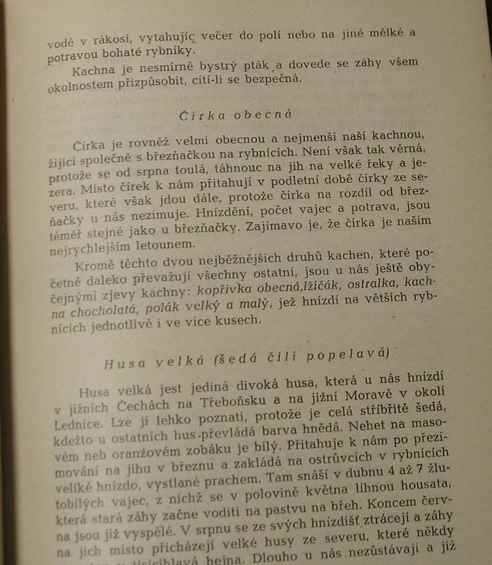 1 WECKO 194