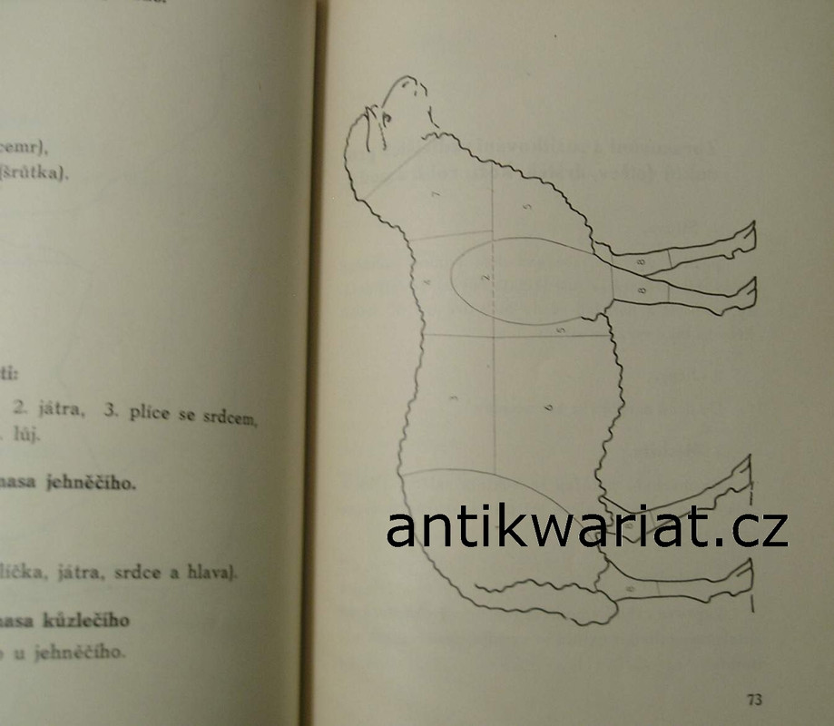 1wa Image00125