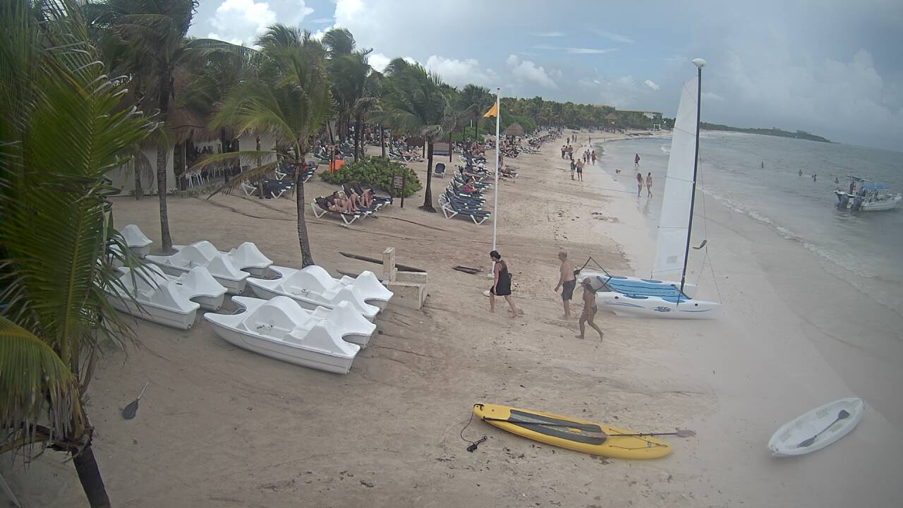 Archivo 09/10/2018 - Algas en las playas de Riviera Maya (México) - Forum Riviera Maya, Cancun and Mexican Caribbean