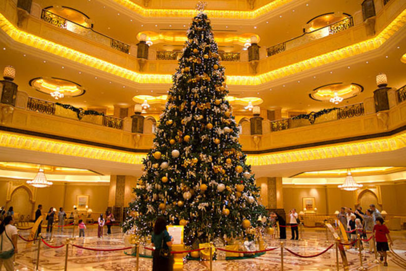 best_christmas_trees_35