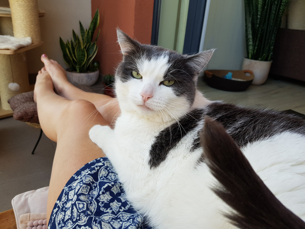20180528_181959.jpg
