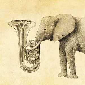 tuba-eric-fan.jpg
