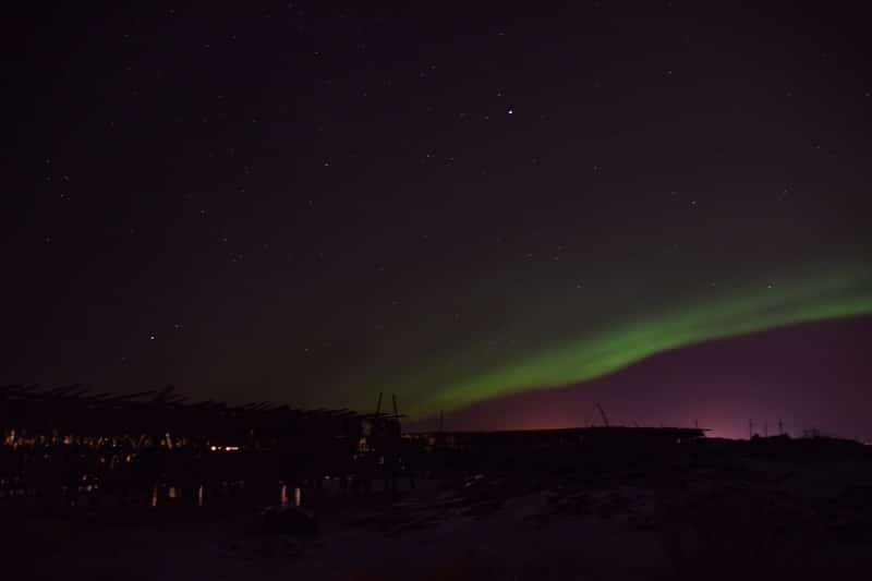 DÍA 8: Reykjavik y..Aurora Boreal?? - Islandia en campervan, en invierno!! (7)