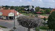 Kép